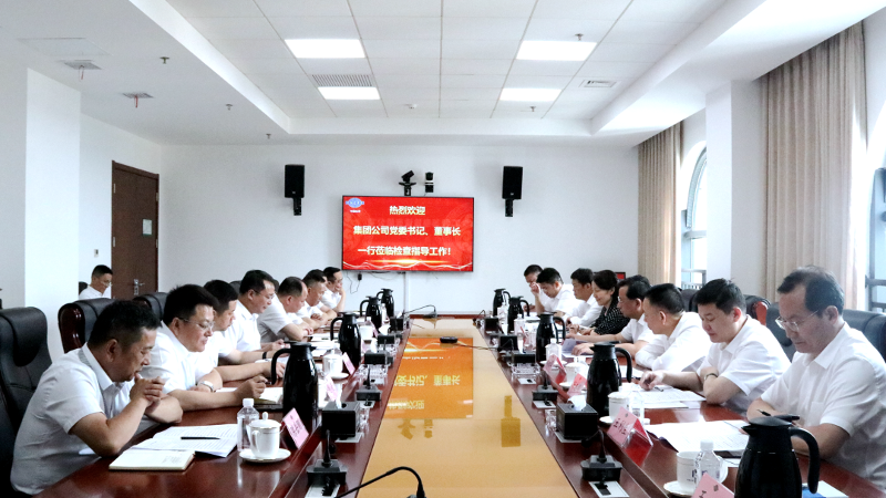 2022年6月，集團(tuán)公司黨委書(shū)記、董事長(zhǎng)戴和根一行到公司調(diào)研指導(dǎo)工作