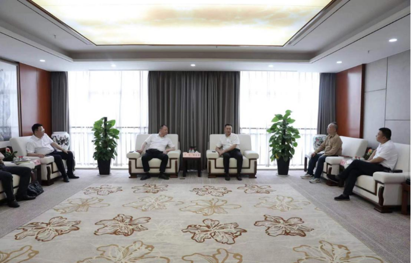 周鴻與湖南輕鹽集團黨委副書記、副董事長、總經(jīng)理李志勇舉行會談