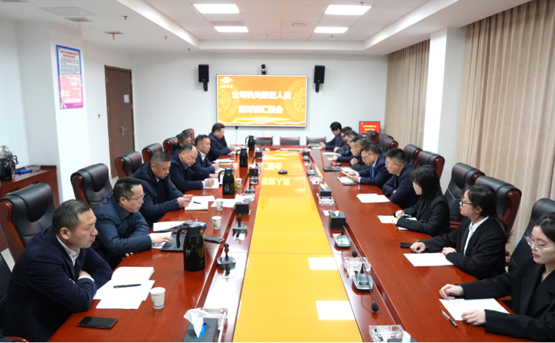 梳理問題精準(zhǔn)把脈  深化管控助力發(fā)展 | 公司舉行2025年機(jī)關(guān)管理人員面對面匯報會